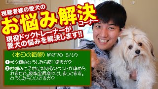 【愛犬のお悩み解決コーナー】吠え癖はどうしたら直りますか？甘噛みと子供に対するマウントが辞められません。家族全員疲れてしまってます。どうしたらいいですか？