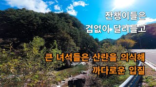 [4K UHD] 겁 없이 달려드는 잔챙이들, 산란으로 예민해진 큰 녀석들은 훅을 보고 올라왔다 그냥 내려가 버리네 | Pre-spawning Autumn Cherry Trout