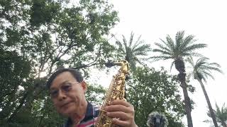 同心行同路薩克斯風cover sax🙏