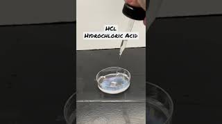 Phenylalanine Test of HCl Hydrochloric Acid