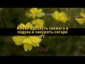 Вам повезло Охранники были в восторге когда в тюрьму привели красивую немую заключенную...