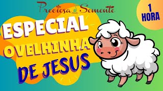 ESPECIAL OVELHINHA DE JESUS - PRECIOSA SEMENTE