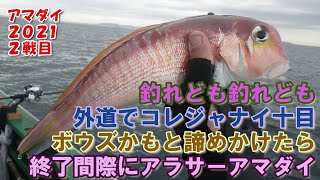 【アマダイ2021第2戦】コレジャナイ十目達成♪　ラスト10分、ボウズを覚悟したらアラサーアマダイが浮上～ゲストの活性は抜群で釣っても釣っても…～（2021.10.3 羽田・かみや LTアマダイ）