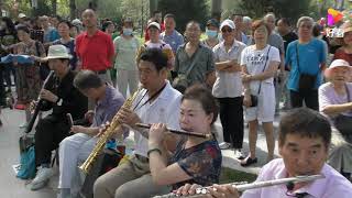 《美丽的草原我的家》好歌越唱越知味，西安乐友艺术合唱团,音乐,民俗音乐,好看视频