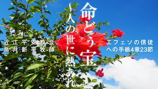 今月のメッセージ 2023年7月「「命どぅ宝～人の世に熱あれ」聖書のお話　#20