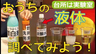 おうちにある液体を調べてみよう！「台所は実験室！」パート②