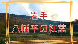 【紅葉】秋の紅葉巡り　岩手八幡平/大沼