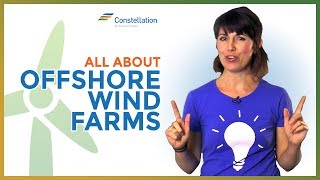 ☀️All About Offshore Wind Farms!