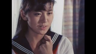 さよならのめまい（1985年）　南野 陽子　スケバン刑事Ⅱ