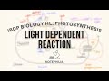 [IB Biology HL] Photosynthesis - Light Dependent Reaction