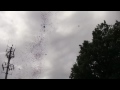 september 11 2011 balloon release