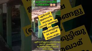 ഏർവാടി ഇബ്രാഹിം ബാദുഷ (ഖ:സി )തങ്ങളുടെ പേരക്കുട്ടിയുടെ മഖാമ് മായംകുളം #shorts #views #islam #history