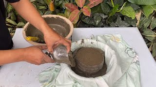 Cement And Cloth Design Creation - Make A Creating Plant Pot Flower Simple With Easily