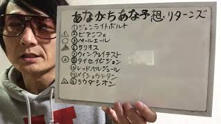 『朝日杯フューチュリティステークス（ＧⅠ）』（２０１９）【トモのハリはピカイチ！！予想と馬券の買い目】