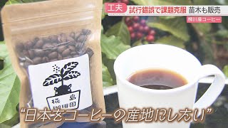 「国産コーヒー」を福岡で栽培　乗り越えたのは梅雨と湿地の湿気　水郷・柳川で挑戦　「2050年問題」も