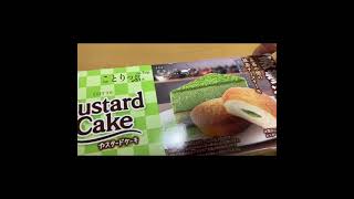 2021年6月29日【新発売】ロッテ   ことりっぷ  カスタードケーキ  茶茶の間のチーズケーキ【開封動画】Japanese snack