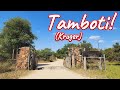 Tamboti Tented Camp! Ep 434