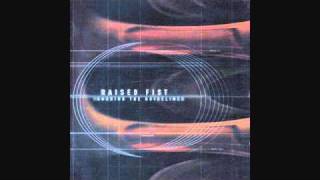 Raised Fist - The models on tv