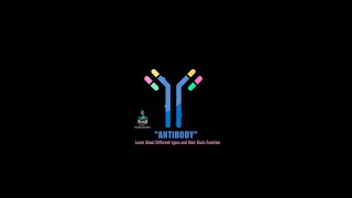 ANTIBODY | Learn about Different Types and their Basic Functions | Immunity | The Old School Doc