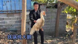 “铁锅炖大鹅”东北名菜，活鹅现杀没有科技很活，6人1锅没够吃！【大厨唐光灿】