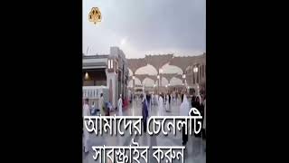 হায়রে সোনার মদিনা By Salman mahmud ali tune