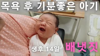 생후 14일 신생아 목욕 후 배냇짓 - 기분좋아지는 영상,  아기 목욕 후 웃음(미소). 14 days old baby's smile video :) I 복승아쨈 첫영상