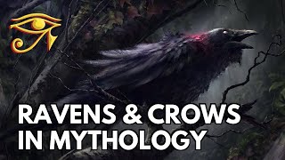 Ravens Crows In Mythology Folklore