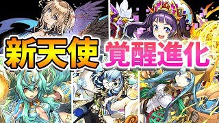 【パズドラ】新天使シリーズ究極覚醒進化決定！！気になる性能について喋りました♪【パズル\u0026ドラゴンズ】