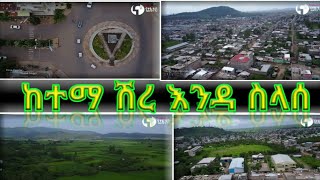 ከተማ ሽረ እንዳ ስላሰ 2013