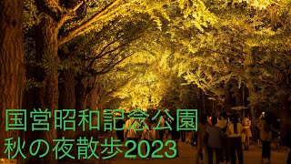 昭和記念公園「秋の夜散歩2023」かたらいのイチョウ並木ライトアップ