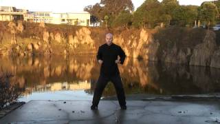 Twelve Rivers Qigong - exercises for the organ meridians - full 20 minute practice session