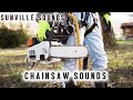 Chainsaw | Amazing Sounds with Peter Baeten