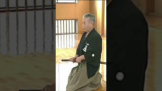#katana #martialarts #budo #居合道 #japan #iaido #koryu #kenjutsu #kendo #hema #居合 #shinkageryu