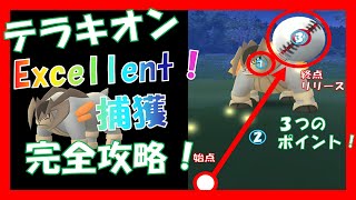 【ポケモンgo】テラキオン　Excellent　ゲット 攻略！投げ方　【pokemon go】 　Terrakion　How　to　Excellent　get！