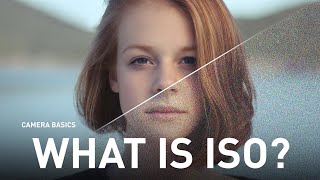 Camera Basics: What is ISO?