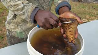 GOAT processing~How to Roast Goat skin