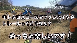 ミニモトだらけの ライダーパーク生駒 Dトラッカー125 CRF125F CRF110F KLX110 DRZ125 KLX125