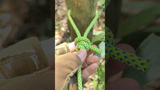 Incredible Slip Knot