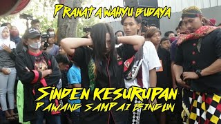 Detik detik sinden ndadi / kesurupan, pawang pun sampai kebingungan dibuatnya