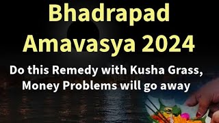 Bhadrapad Amavasya 2024 - Do this Remedy with Kusha Grass, Money Problems will go away.