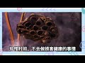 禪意：「三十而立，四十而不惑，五十而知命」，立什麽？惑什麽？