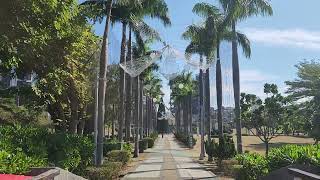 Walking Tour Of Kaohsiung's Central Park #kaohsiung #kaohsiungcity #kaohsiungtaiwan #taiwan #taipei