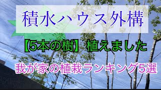 【積水ハウス】外構のメインとも言える植栽を植えて1ヶ月。選んだ樹（子）たちをランキング形式でお伝えします