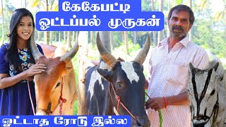 மாட வச்சுதா பேரு / மாட்டுக்கு இதா அழகு / நாட்டு பால் குழம்பு அம்புட்டு ருசி / ஓட்டபல் முருகன்