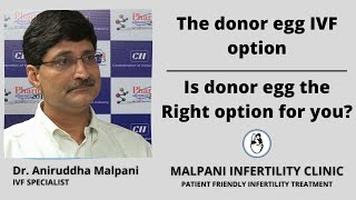 The donor egg IVF option
