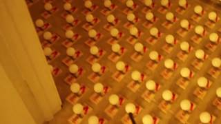 A gross of Ping-pong balls, and a gross of mouse traps