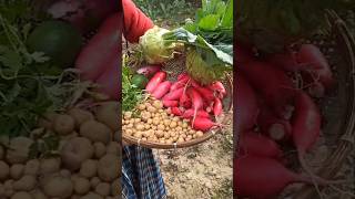 Uruka buli#viralvideo #garden #kitchengarden #goodfoodinthevillage