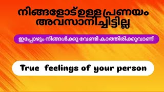 💞അവർക്കു നിങ്ങളോട് ഉള്ള പ്രണയം അവസാനിക്കുന്നില്ല 💯💞 നിങ്ങളോട് പറയാൻ ഉള്ള messages ✍🏻