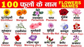 100 Flowers name in English and Hindi with PDF | 100 फूलों के नाम अंग्रेजी और हिंदी में