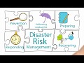 📈🌍Integrated Approach to Disaster Risk Management:Prevent, Residual risk Prepare, Respond, Recover